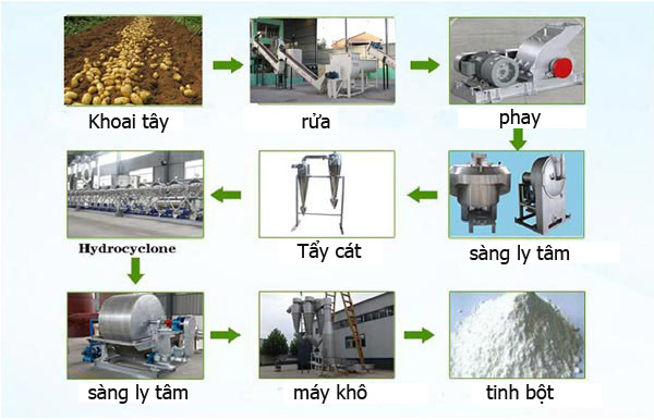 Chế biến tinh bột khoai tây