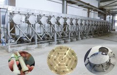 Dự án nhà máy chế biến tinh bột khoai lang 10TPD