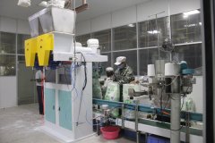 Báo cáo Dự án Tinh bột kho